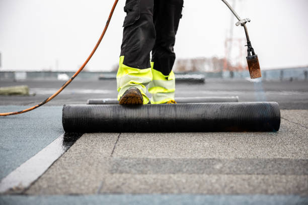 Best Gutter Installation and Repair  in Mansfield, OH